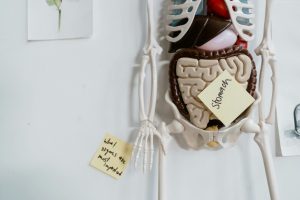 Digestion first. Make sure you are absorbing nutrients before you tackle other health needs
