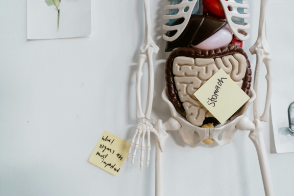 Digestion first. Make sure you are absorbing nutrients before you tackle other health needs