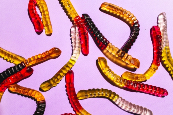 Millions of American’s unknowingly have parasites, here’s a cheap easy way to kill them